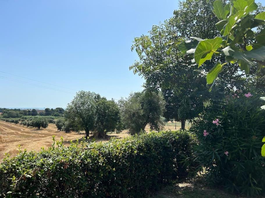 Ferienwohnung La Capparuccia Civitanova Marche Exterior foto